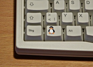 penguin key V6